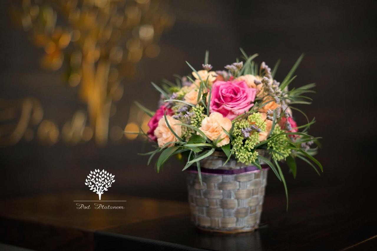 Szafirowy Dwor Hotel & Restauracja 글리비체 외부 사진